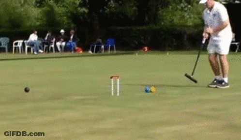 A Man Is Playing A Game Of Croquet On A Lush Green Field GIF