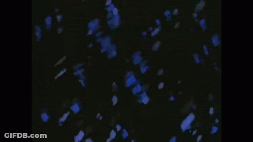 A Man Is Playing A Guitar In A Dark Room With Blue Petals Falling From The Sky . GIF