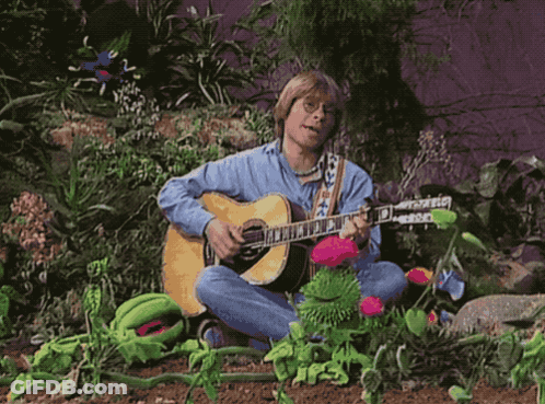 A Man Is Playing A Guitar In A Garden Surrounded By Flowers GIF