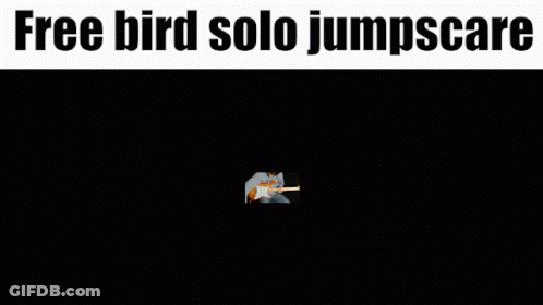 A Man Is Playing A Guitar With The Words Free Bird Solo Jumpscare Below Him GIF