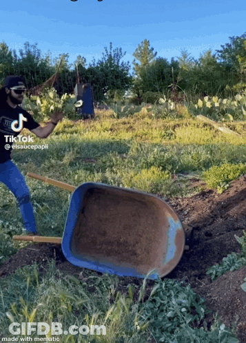 A Man Is Pushing A Wheelbarrow In A Field With A Tiktok Watermark On The Bottom GIF
