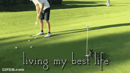 A Man Is Putting A Golf Ball On A Green With The Words " Living My Best Life " Below Him GIF