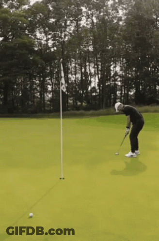 A Man Is Putting A Golf Ball On A Green With Trees In The Background GIF