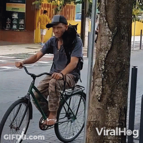 A Man Is Riding A Bike With A Cat On His Back And The Word Viralhog Is On The Bottom Right GIF