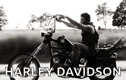 A Man Is Riding A Harley Davidson Motorcycle Down A Street . GIF