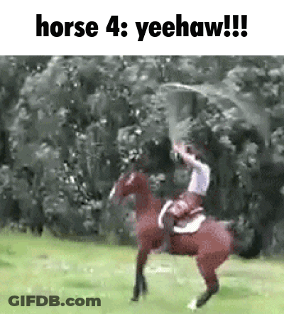 A Man Is Riding A Horse In A Field And Holding A Sword . GIF