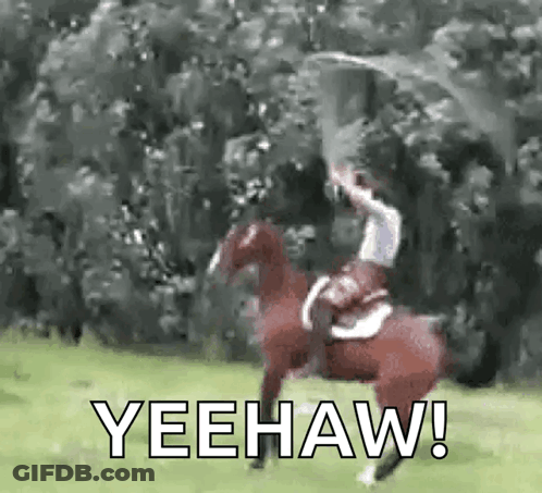 A Man Is Riding A Horse In A Field While Holding A Flag . GIF