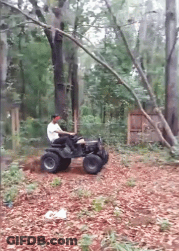 A Man Is Riding A Lawn Mower Through A Forest GIF