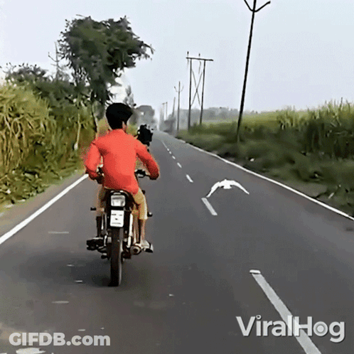 A Man Is Riding A Motorcycle Down A Road With Viralhog Written On The Bottom Right GIF