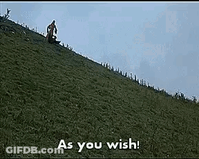 A Man Is Riding A Sled Down A Grassy Hill With The Words `` As You Wish '' . GIF