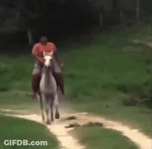 A Man Is Riding A White Horse On A Dirt Road . GIF