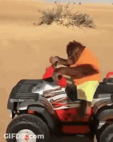 Man Riding ATV With Dog In Desert GIF