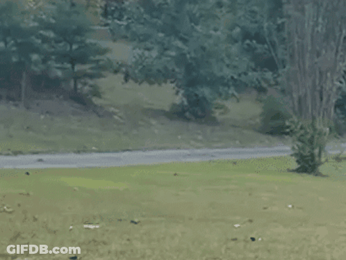 A Man Is Running Down A Path In A Park With Trees In The Background GIF