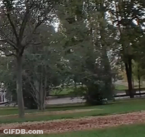 A Man Is Running In A Park Wearing A Mask . GIF