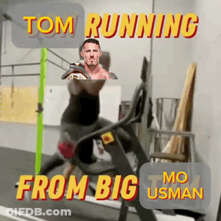 A Man Is Running On A Treadmill With The Words Tom Running From Big Mo Usman Above Him GIF