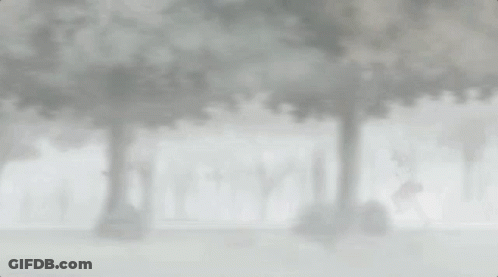A Man Is Running Through A Foggy Forest In A Black And White Photo . GIF