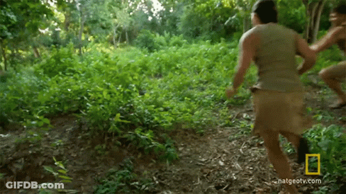 A Man Is Running Through A Lush Green Forest With A National Geographic Logo On The Bottom GIF