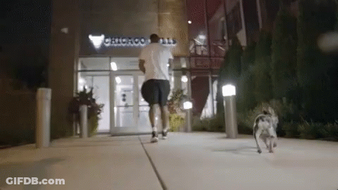 A Man Is Running With A Dog In Front Of A Building That Says Chicago On It GIF