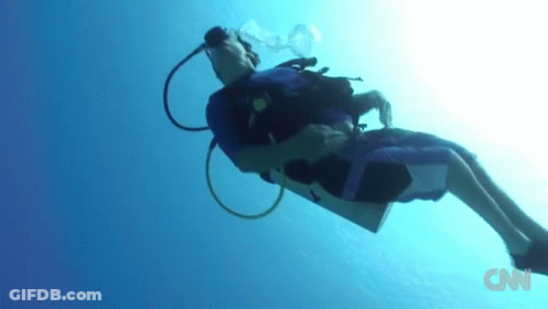 A Man Is Scuba Diving In The Ocean With Cnn Written On The Bottom GIF
