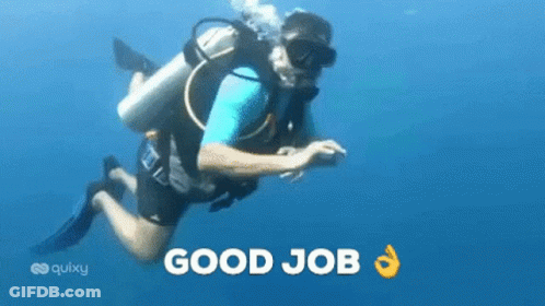 A Man Is Scuba Diving In The Ocean With The Words `` Good Job '' Written On The Bottom Of The Image . GIF