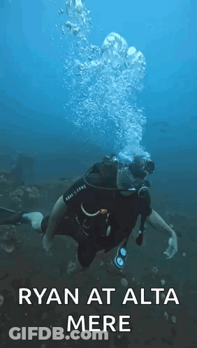 A Man Is Scuba Diving In The Ocean With The Words `` Ryan At Alta Mere '' Written Above Him . GIF