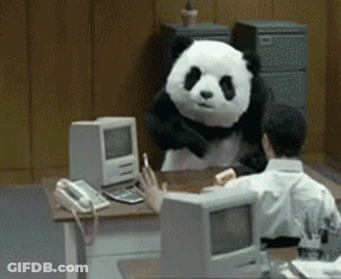 A Man Is Sitting At A Desk With A Panda Bear Standing Behind Him GIF