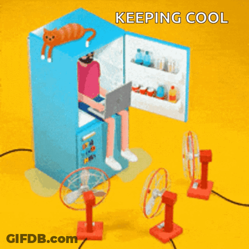 A Man Is Sitting In A Refrigerator Using A Laptop And A Cat Is Hanging From The Ceiling . GIF