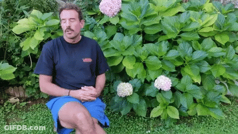 Man Sitting In Front Of Pink Flower Bush GIF