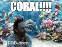 A Man Is Sitting In Front Of A Coral Reef With The Words Coral !!! Written Above Him GIF