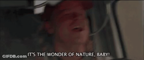 A Man Is Sitting In The Driver 'S Seat Of A Car And Screaming . GIF