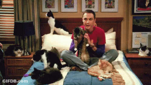A Man Is Sitting On A Bed Surrounded By Cats And A Dog GIF