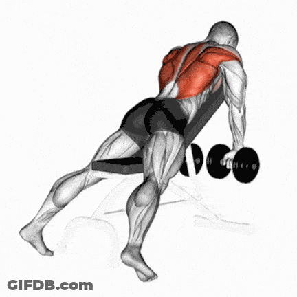 A Man Is Sitting On A Bench Holding Two Dumbbells . GIF