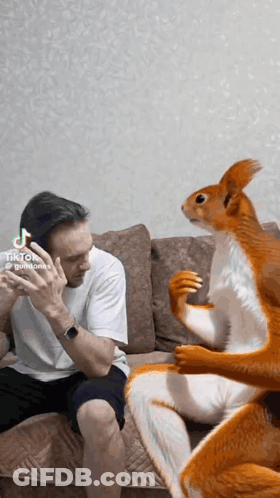A Man Is Sitting On A Couch With A Squirrel Standing Next To Him GIF