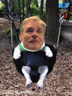 A Man Is Sitting On A Swing With A Dog 'S Paws On It GIF