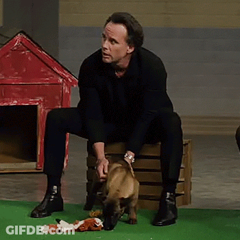 A Man Is Sitting On A Wooden Box With A Dog Looking At Him GIF
