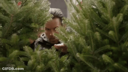 A Man Is Standing Behind A Christmas Tree . GIF