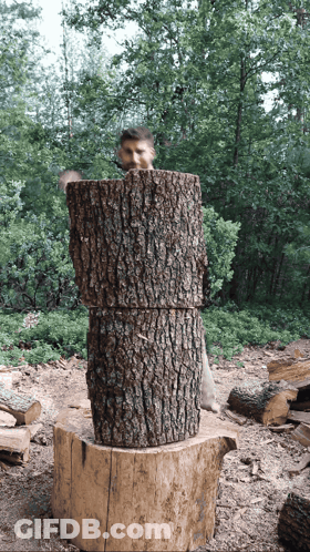 A Man Is Standing Behind A Stack Of Logs In The Woods GIF