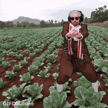 A Man Is Standing In A Field Of Lettuce Wearing Headphones And An American Flag Scarf GIF
