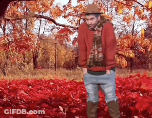 A Man Is Standing In A Field Of Red Leaves Wearing A Hat And Scarf . GIF