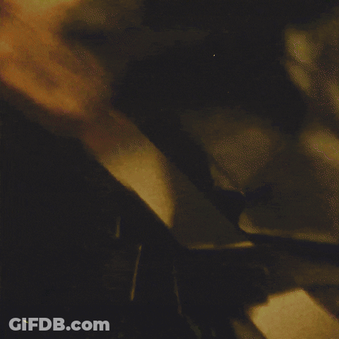 A Man Is Standing In A Jungle With Lots Of Plants GIF