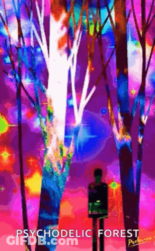 A Man Is Standing In A Psychedelic Forest With Trees . GIF
