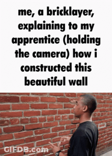 A Man Is Standing In Front Of A Brick Wall With A Caption That Says Me A Bricklayer Explaining GIF