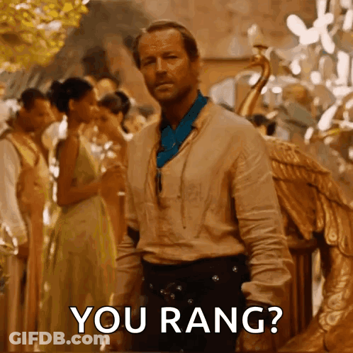 A Man Is Standing In Front Of A Crowd With The Words `` You Rang '' Written On The Screen . GIF
