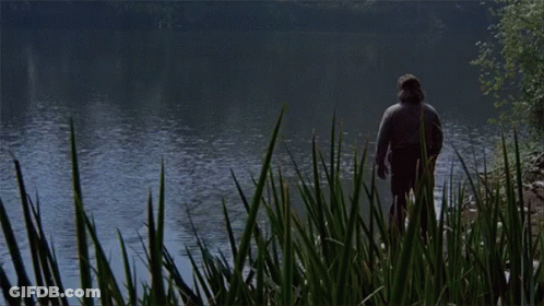 A Man Is Standing In The Grass Near A Lake GIF