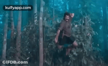 A Man Is Standing In The Middle Of A Forest In The Water . GIF