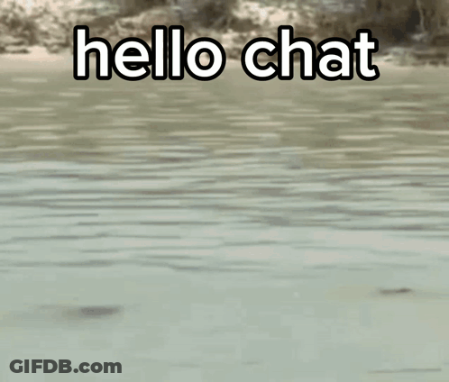 A Man Is Standing In The Water With His Hand On His Head And Says Hello Chat . GIF