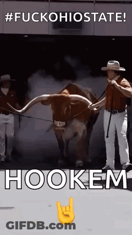 A Man Is Standing Next To A Brown Bull With Long Horns And Smoke Coming Out Of It . GIF