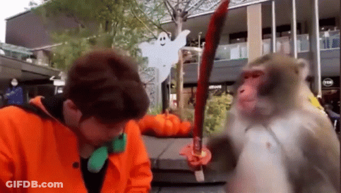 A Man Is Standing Next To A Monkey Holding A Sword In Front Of A Building . GIF