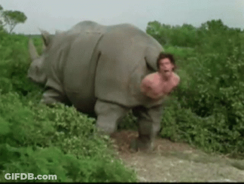 A Man Is Standing Next To A Rhinoceros In The Woods . GIF