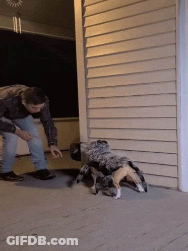 A Man Is Standing Next To A Stuffed Spider GIF